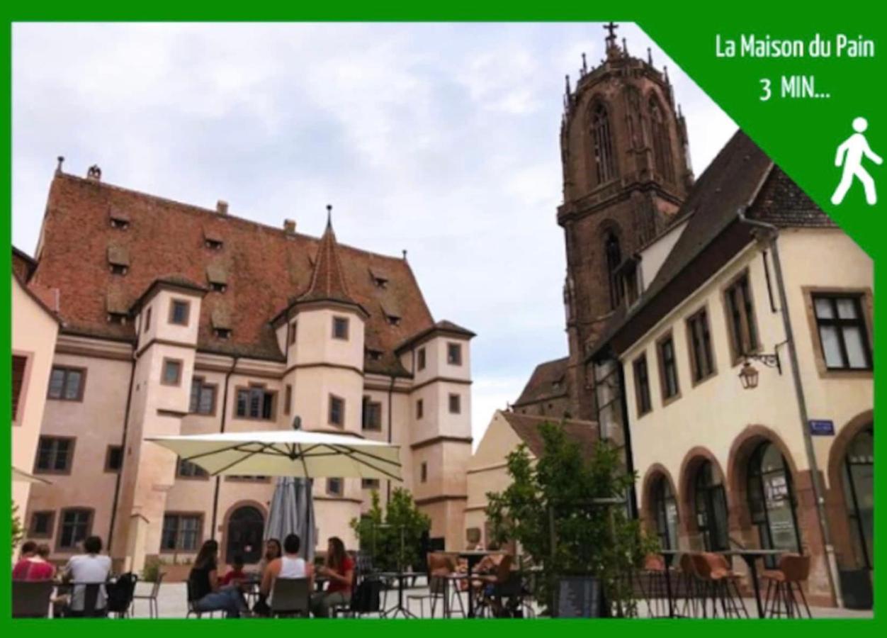 La Parenthese Alsacienne Au Coeur De Selestat Apartment Exterior foto